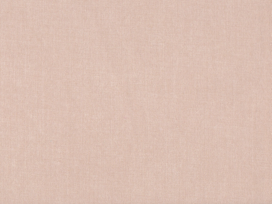 Moda Rose